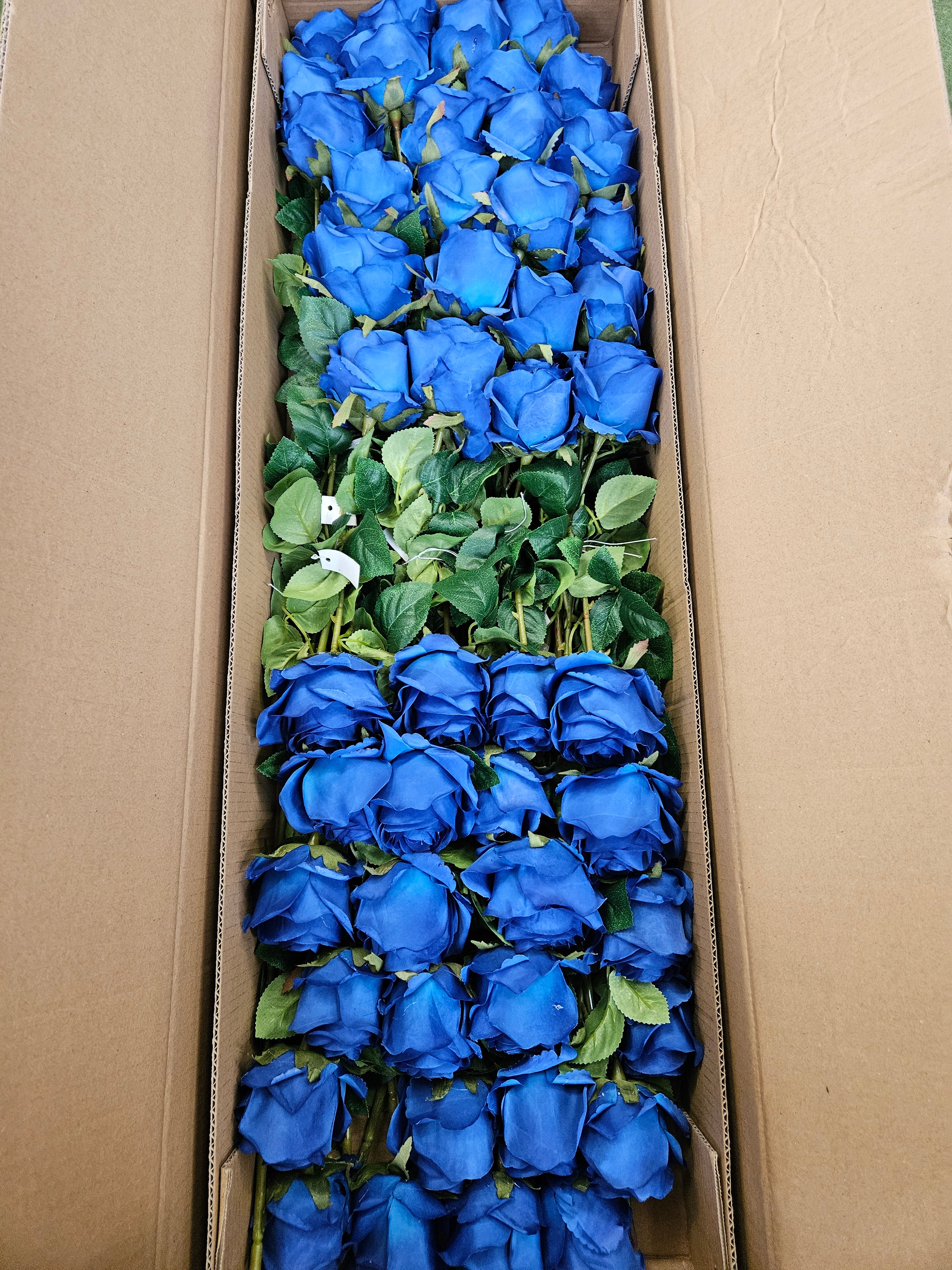 Box of 48 royal blue harper roses (head approx 10cm)